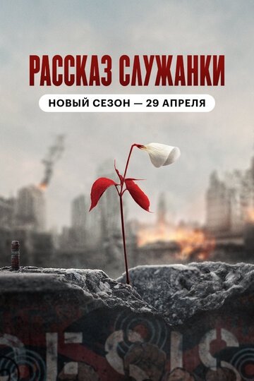 Рассказ служанки (4 сезон)