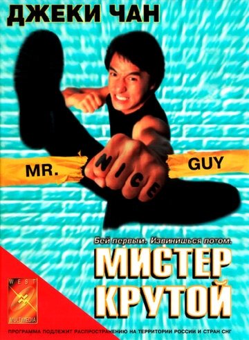 Мистер Крутой (фильм 1996)