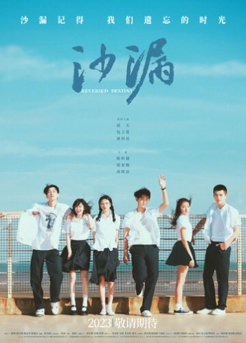 Перевернутая судьба (2024)