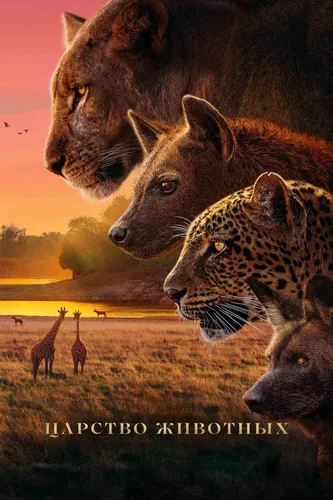 Царство животных (2025)