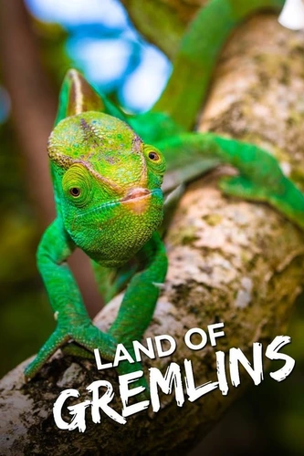 Земля гремлинов (2015)