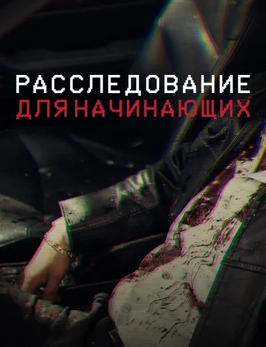 Расследование преступлений для начинающих (2022)