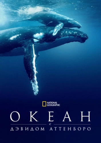 Дэвид Аттенборо: Океан (2025)