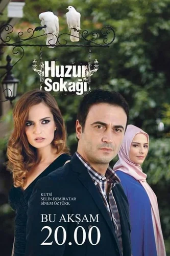 Мирная улица (2012)