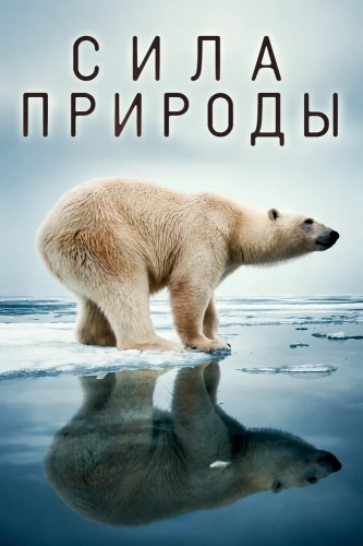 Сила природы (2026)