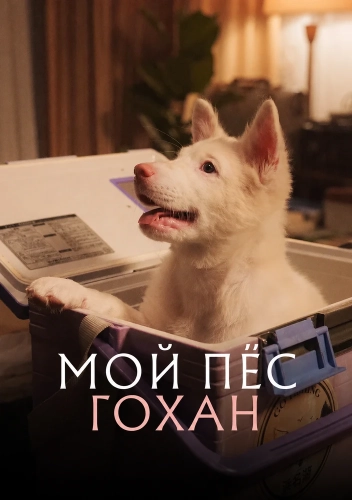 Мой пёс Гохан (2026)