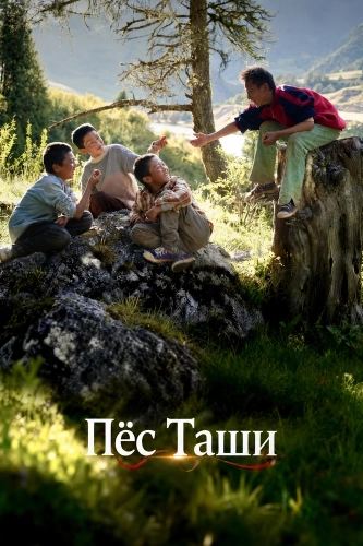 Пёс Таши (2024)